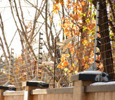 قیمت فنس الکتریکی حصار الکتریکی الکترو فنس